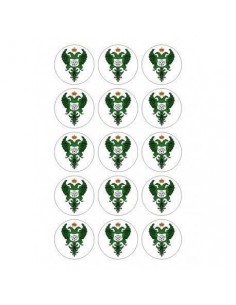 Papel de azúcar escudo Club Deportivo Toledo para galletas 
