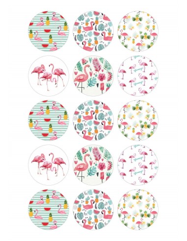 Papel de azúcar flamencos para galletas