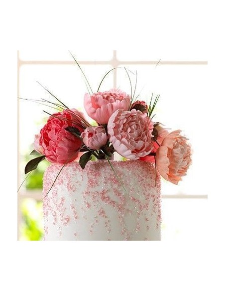 Set de 5 cortadores peonias