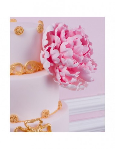 Set de 5 cortadores peonias