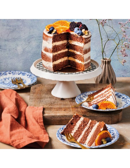 Preparado bizcocho chocolate