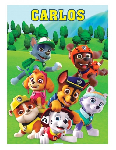 Papel Comestible Patrulla Canina con Nombre Rectangular