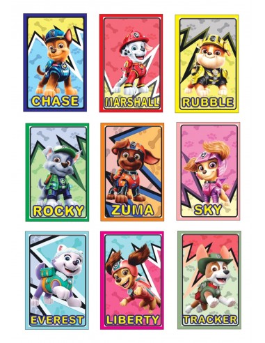 Papel Comestible Personajes Patrulla Canina para Galletas